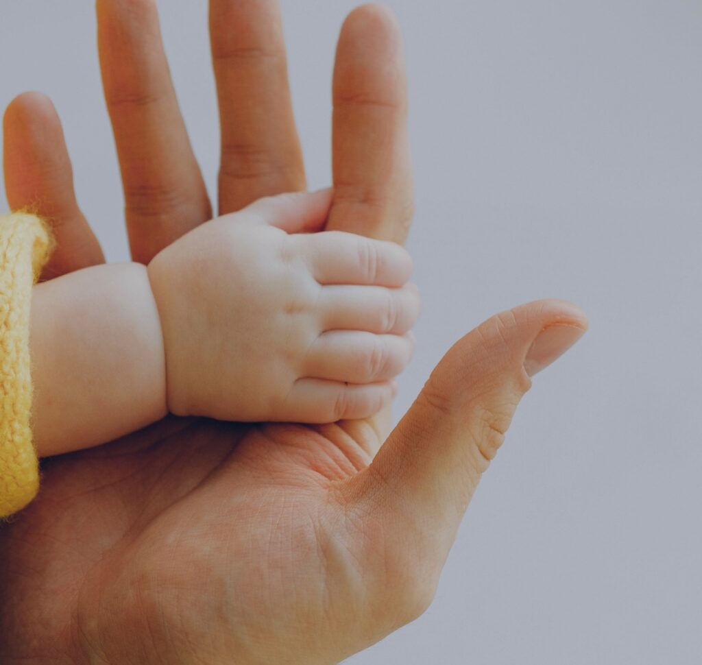 conseil-formation-mentorat-creche-conseil-sens